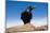 Common Raven (Corvus Corax) Perched on Rock, La Caldera De Taburiente Np, La Palma, Canary Islands-Relanzón-Mounted Photographic Print