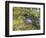 Common Raven, Corvus corax, Yellowstone, Montana, wild-Maresa Pryor-Framed Photographic Print