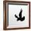 Common Raven Screaming-Arthur Morris-Framed Photographic Print