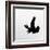 Common Raven Screaming-Arthur Morris-Framed Photographic Print