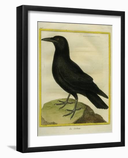 Common Raven-Georges-Louis Buffon-Framed Giclee Print
