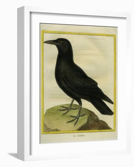 Common Raven-Georges-Louis Buffon-Framed Giclee Print