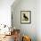 Common Raven-Georges-Louis Buffon-Framed Giclee Print displayed on a wall