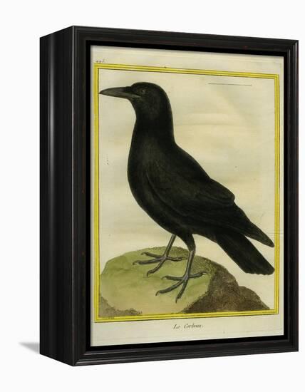 Common Raven-Georges-Louis Buffon-Framed Premier Image Canvas