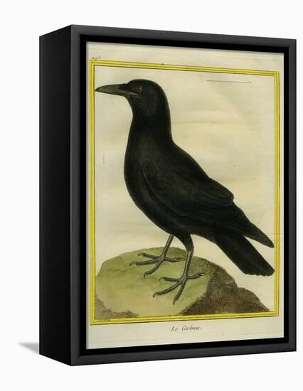 Common Raven-Georges-Louis Buffon-Framed Premier Image Canvas