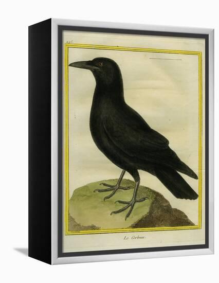 Common Raven-Georges-Louis Buffon-Framed Premier Image Canvas