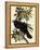 Common Raven-John James Audubon-Framed Premier Image Canvas