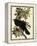 Common Raven-John James Audubon-Framed Premier Image Canvas