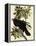 Common Raven-John James Audubon-Framed Premier Image Canvas