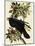 Common Raven-John James Audubon-Mounted Giclee Print