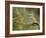 Common Roller Perched, South Spain-Inaki Relanzon-Framed Photographic Print