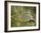 Common Roller Perched, South Spain-Inaki Relanzon-Framed Photographic Print