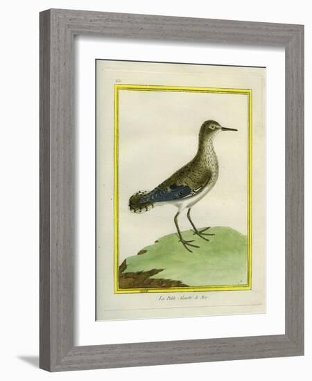 Common Sandpiper-Georges-Louis Buffon-Framed Giclee Print