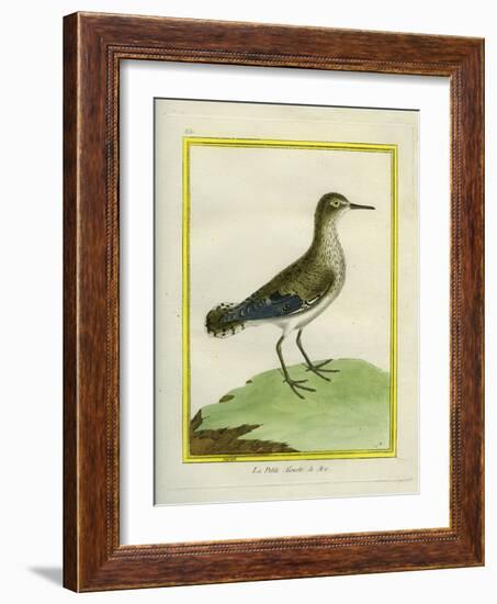 Common Sandpiper-Georges-Louis Buffon-Framed Giclee Print