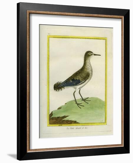 Common Sandpiper-Georges-Louis Buffon-Framed Giclee Print