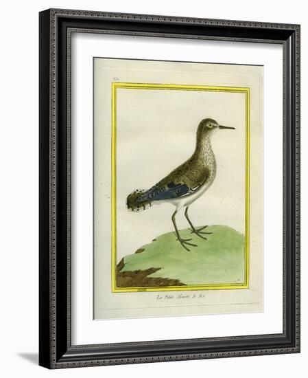 Common Sandpiper-Georges-Louis Buffon-Framed Giclee Print