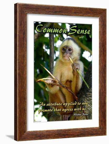 Common Sense-null-Framed Art Print