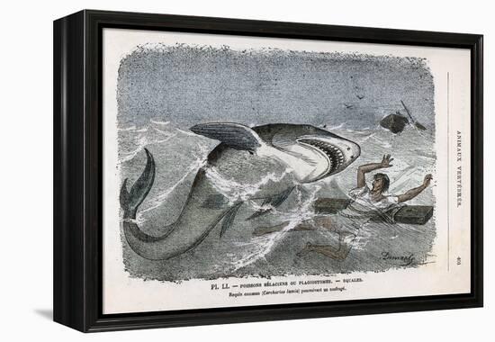 Common Shark (Carcharias Lamia) About to Make a Meal of a Shipwrecked Sailor-Demarle-Framed Stretched Canvas