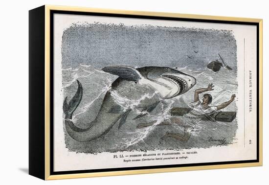 Common Shark (Carcharias Lamia) About to Make a Meal of a Shipwrecked Sailor-Demarle-Framed Stretched Canvas