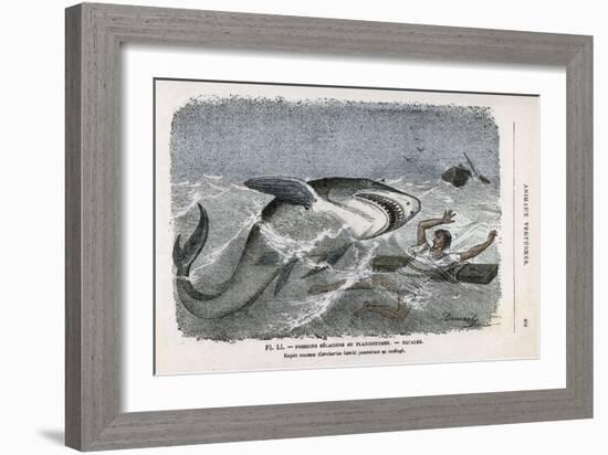 Common Shark (Carcharias Lamia) About to Make a Meal of a Shipwrecked Sailor-Demarle-Framed Art Print