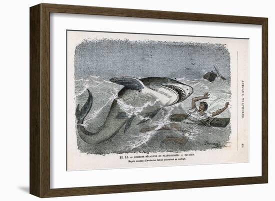 Common Shark (Carcharias Lamia) About to Make a Meal of a Shipwrecked Sailor-Demarle-Framed Art Print