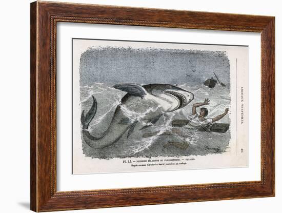 Common Shark (Carcharias Lamia) About to Make a Meal of a Shipwrecked Sailor-Demarle-Framed Art Print