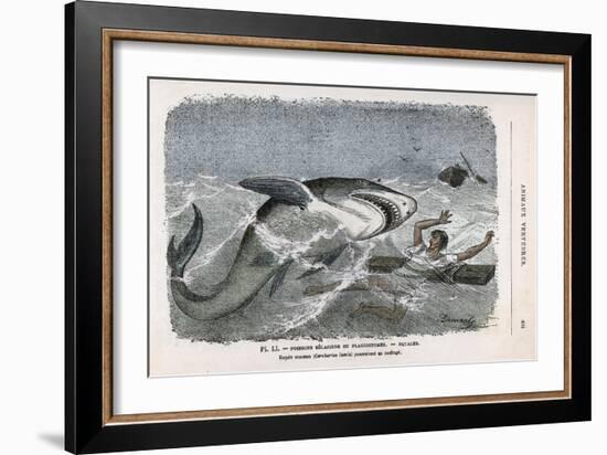 Common Shark (Carcharias Lamia) About to Make a Meal of a Shipwrecked Sailor-Demarle-Framed Art Print