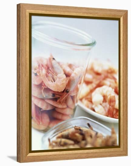 Common Shrimp, Busumer Shrimps and Gambas-Peter Medilek-Framed Premier Image Canvas