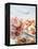 Common Shrimp, Busumer Shrimps and Gambas-Peter Medilek-Framed Premier Image Canvas