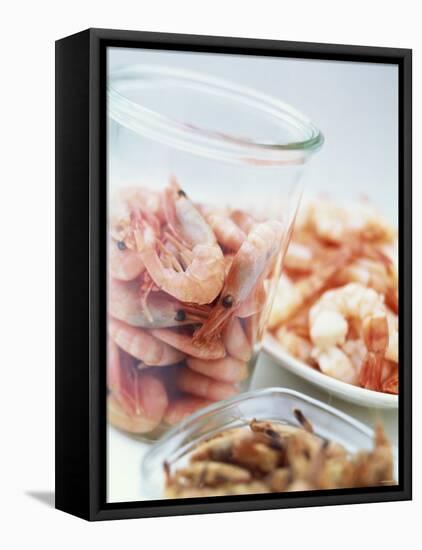 Common Shrimp, Busumer Shrimps and Gambas-Peter Medilek-Framed Premier Image Canvas