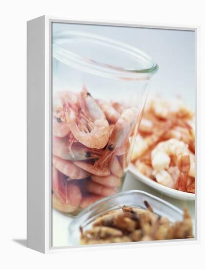 Common Shrimp, Busumer Shrimps and Gambas-Peter Medilek-Framed Premier Image Canvas