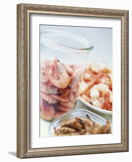 Common Shrimp, Busumer Shrimps and Gambas-Peter Medilek-Framed Photographic Print