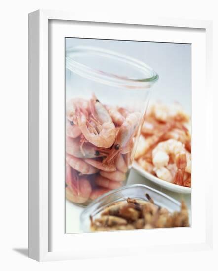 Common Shrimp, Busumer Shrimps and Gambas-Peter Medilek-Framed Photographic Print