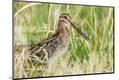 Premium Photographic Print