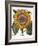 Common Sunflower-null-Framed Giclee Print