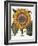 Common Sunflower-null-Framed Giclee Print