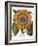 Common Sunflower-null-Framed Giclee Print