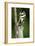 Common Swallowtail Chrysalis-Paul Harcourt Davies-Framed Photographic Print