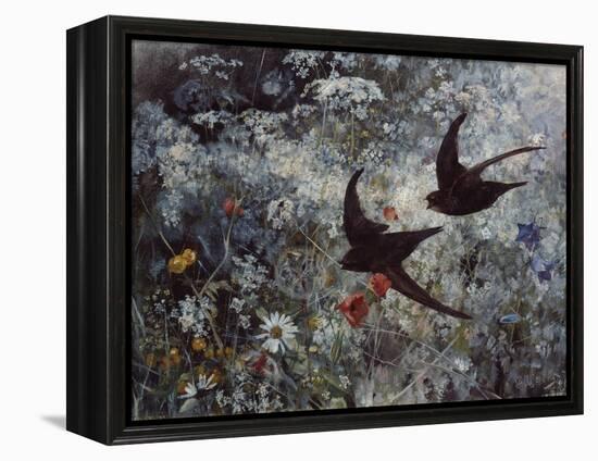 Common Swift, 1886-Bruno Andreas Liljefors-Framed Premier Image Canvas