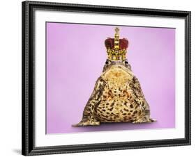 Common Toad 'Frog Prince' Wearing Crown-null-Framed Photographic Print
