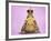 Common Toad 'Frog Prince' Wearing Crown-null-Framed Photographic Print