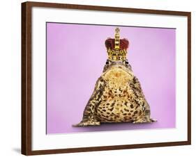 Common Toad 'Frog Prince' Wearing Crown-null-Framed Photographic Print