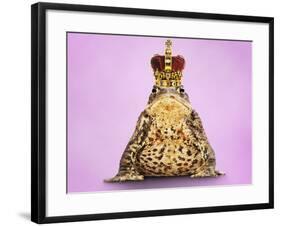 Common Toad 'Frog Prince' Wearing Crown-null-Framed Photographic Print
