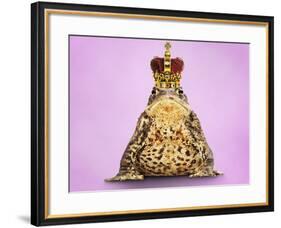 Common Toad 'Frog Prince' Wearing Crown-null-Framed Photographic Print
