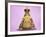 Common Toad 'Frog Prince' Wearing Crown-null-Framed Photographic Print