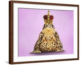 Common Toad 'Frog Prince' Wearing Crown-null-Framed Photographic Print