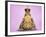 Common Toad 'Frog Prince' Wearing Crown-null-Framed Photographic Print