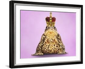 Common Toad 'Frog Prince' Wearing Crown-null-Framed Photographic Print