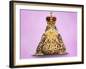 Common Toad 'Frog Prince' Wearing Crown-null-Framed Photographic Print