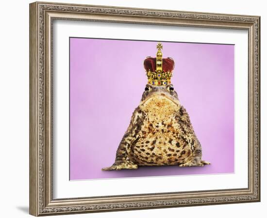 Common Toad 'Frog Prince' Wearing Crown-null-Framed Photographic Print